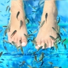 Fish spa  15 euros